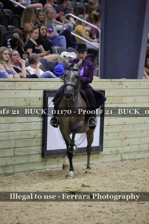 Proof 21_BUCK_01170
