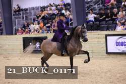 21_BUCK_01171 proof