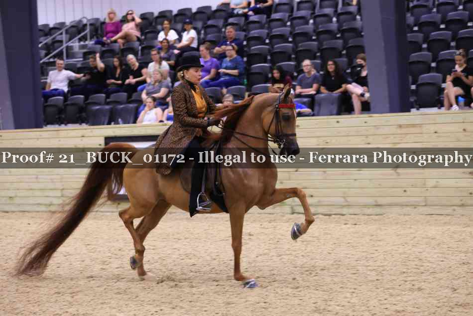 Proof 21_BUCK_01172