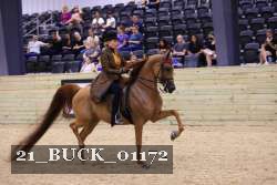 21_BUCK_01172 proof