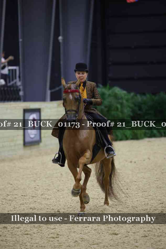 Proof 21_BUCK_01173