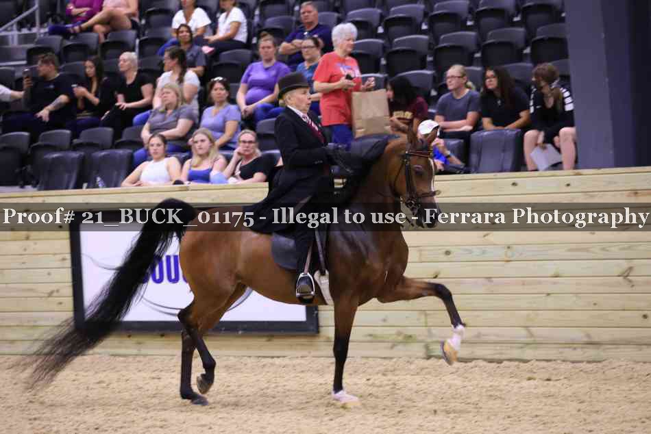 Proof 21_BUCK_01175