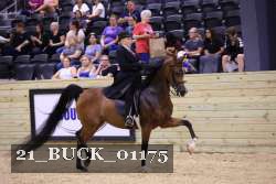 21_BUCK_01175 proof