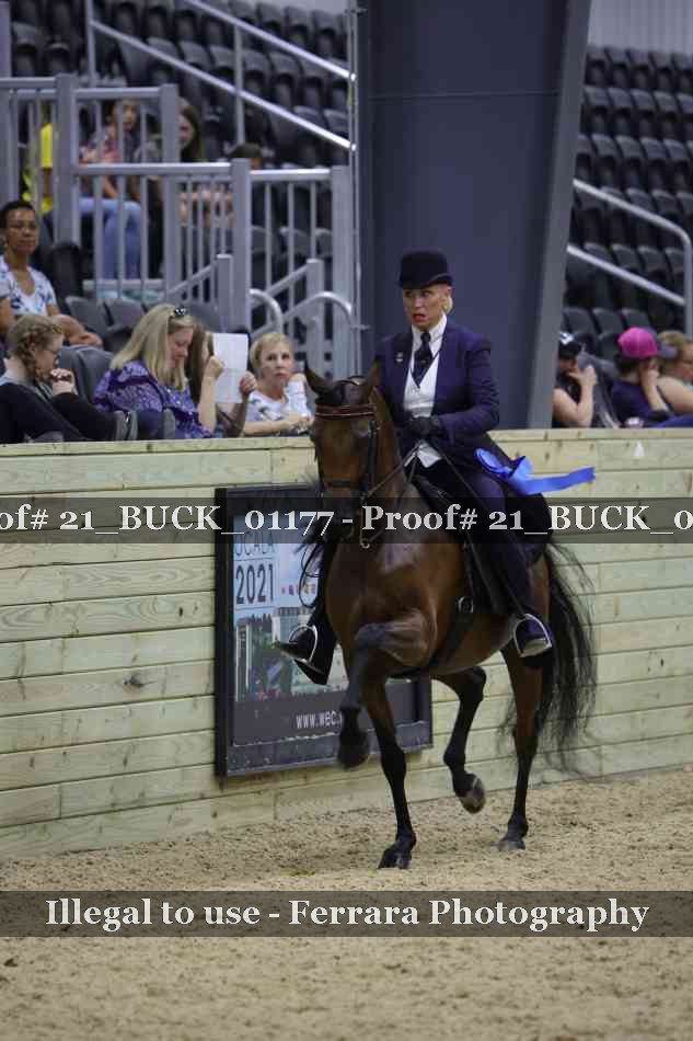 Proof 21_BUCK_01177