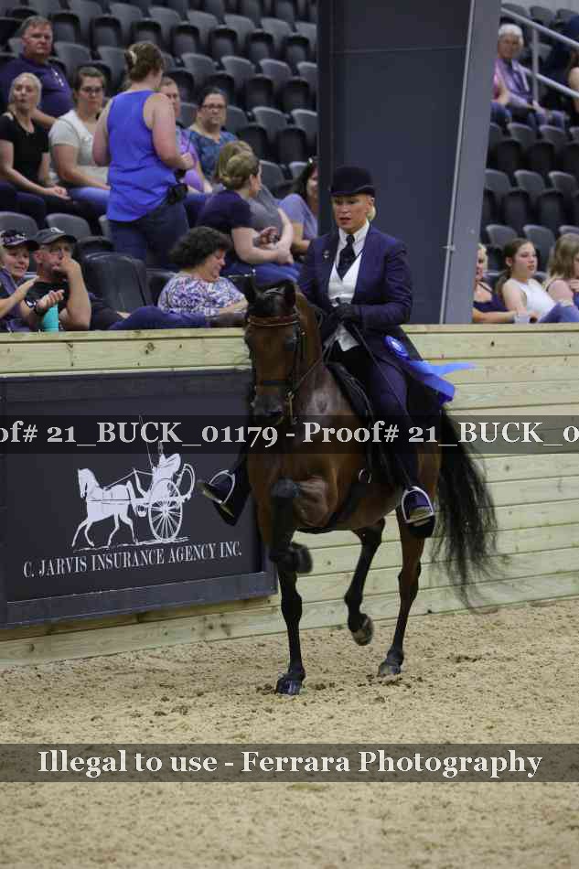 Proof 21_BUCK_01179