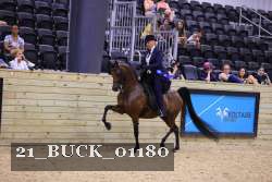 21_BUCK_01180 proof