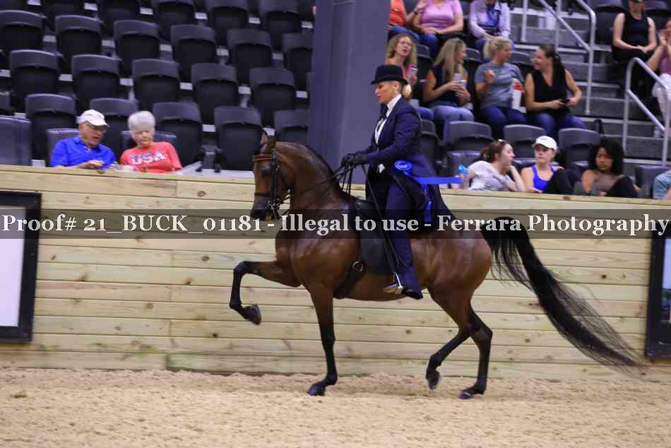 Proof 21_BUCK_01181