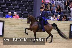 21_BUCK_01181 proof