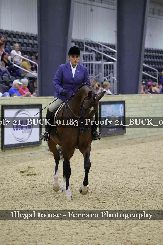 Proof 21_BUCK_01183