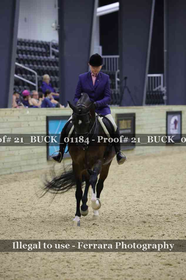 Proof 21_BUCK_01184