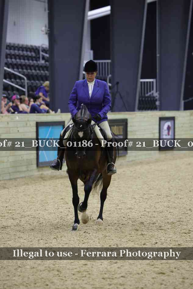 Proof 21_BUCK_01186