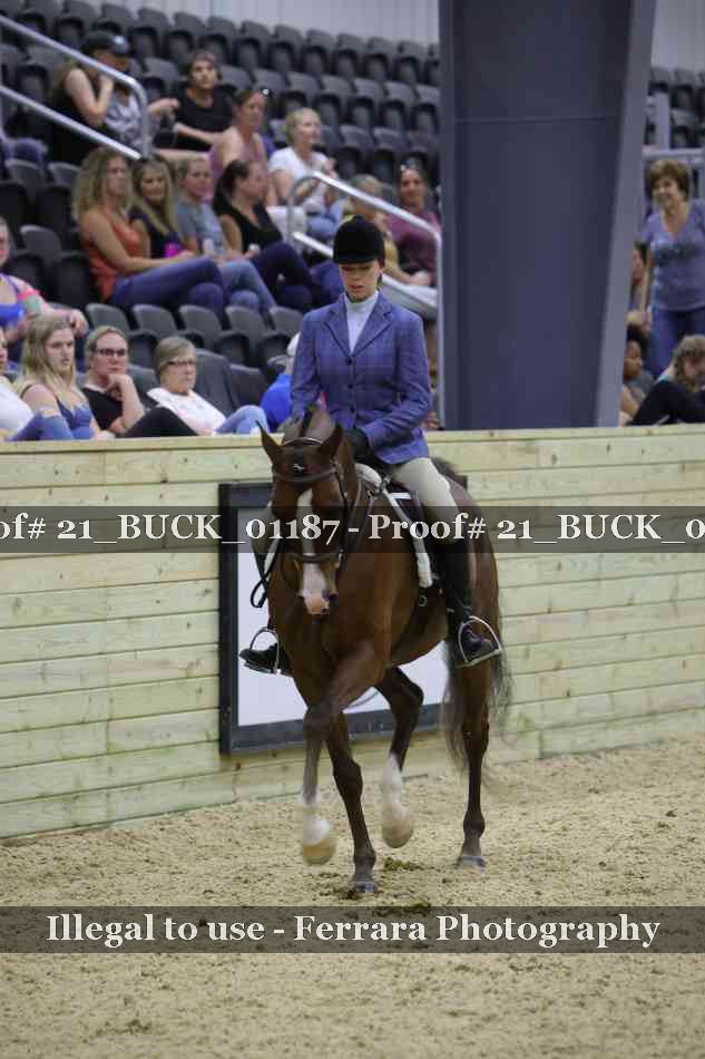 Proof 21_BUCK_01187