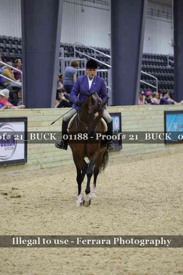 Proof 21_BUCK_01188