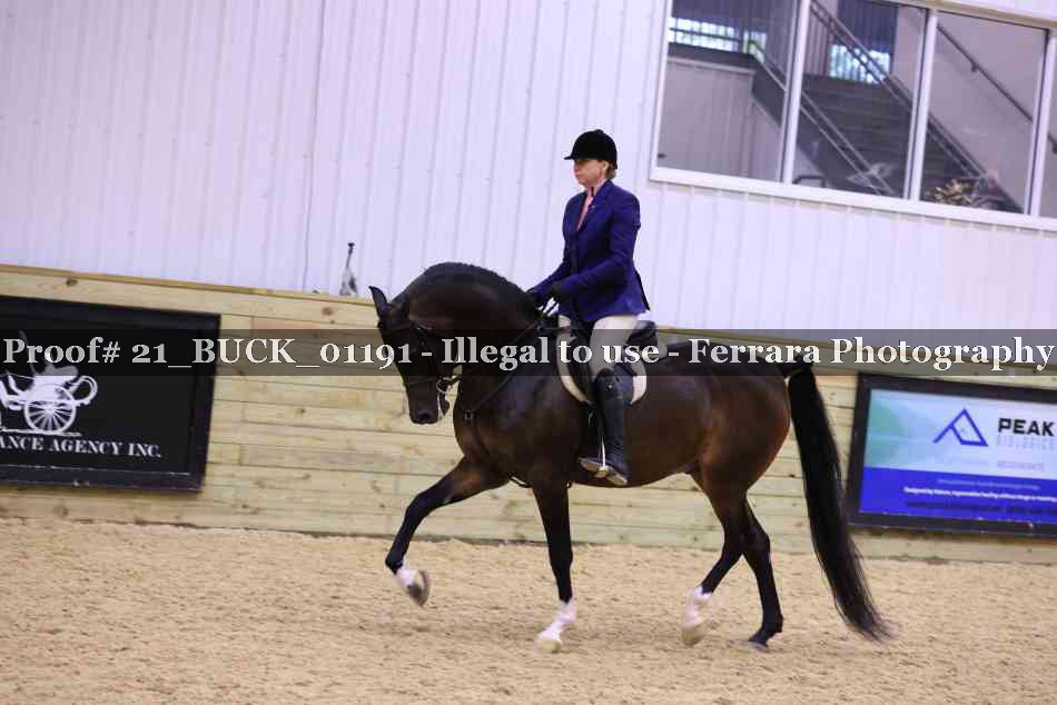 Proof 21_BUCK_01191