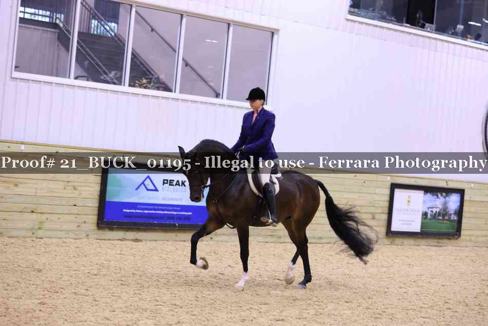 Proof 21_BUCK_01195