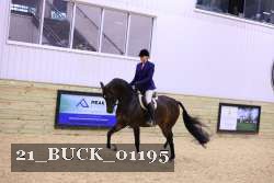 21_BUCK_01195 proof