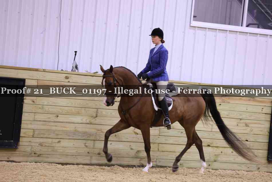 Proof 21_BUCK_01197