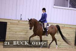 21_BUCK_01197 proof