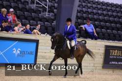 21_BUCK_01200 proof