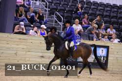 21_BUCK_01201 proof