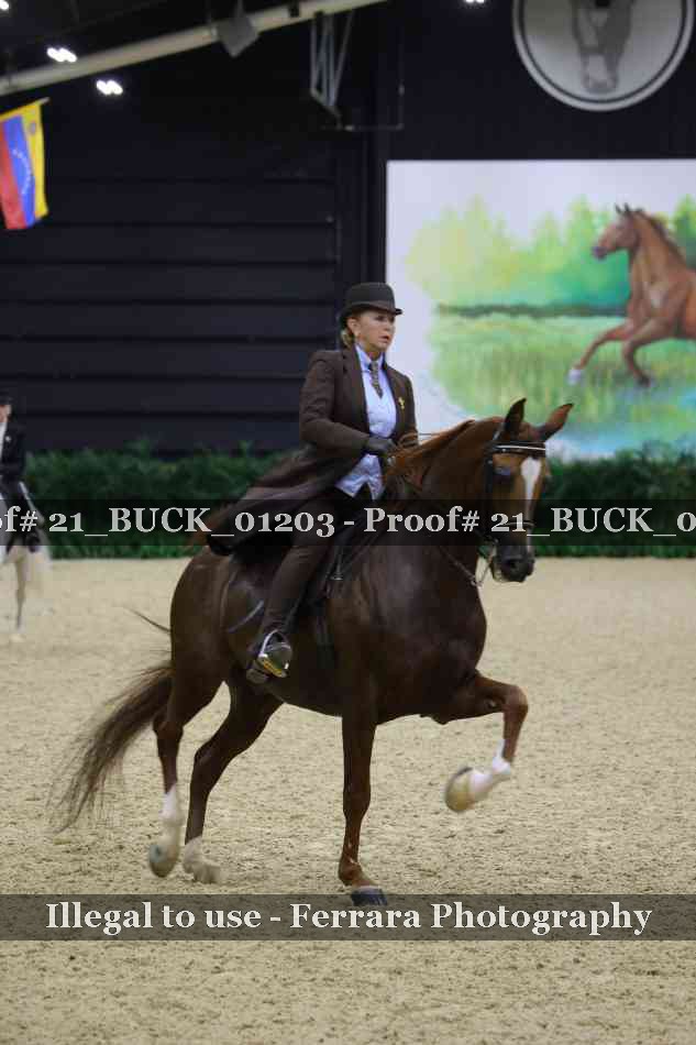 Proof 21_BUCK_01203