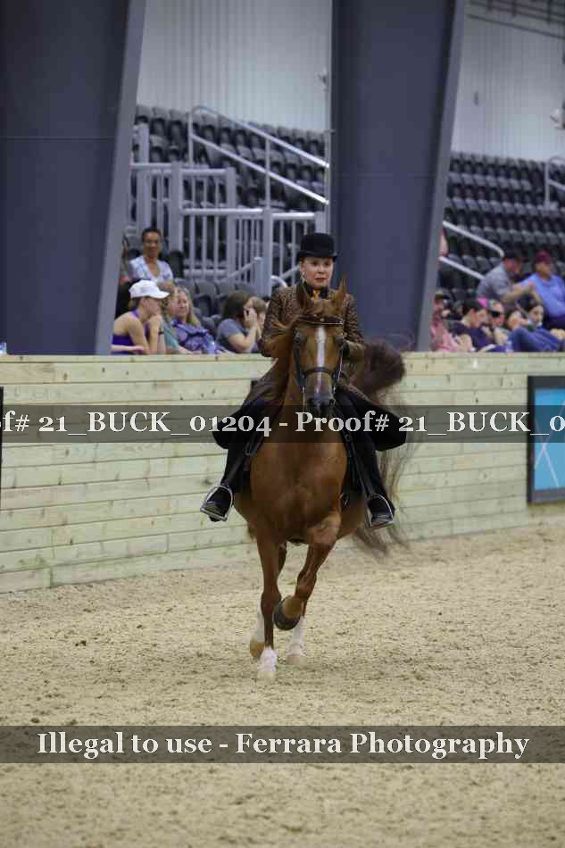 Proof 21_BUCK_01204