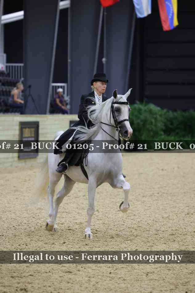 Proof 21_BUCK_01205