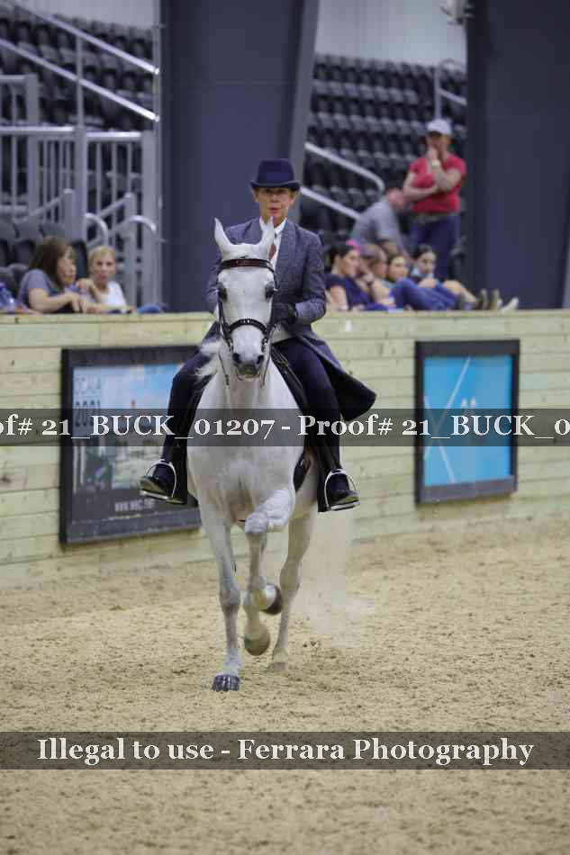 Proof 21_BUCK_01207
