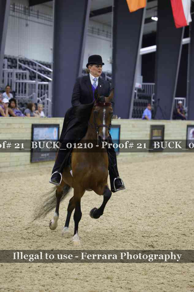 Proof 21_BUCK_01210