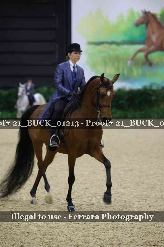 Proof 21_BUCK_01213