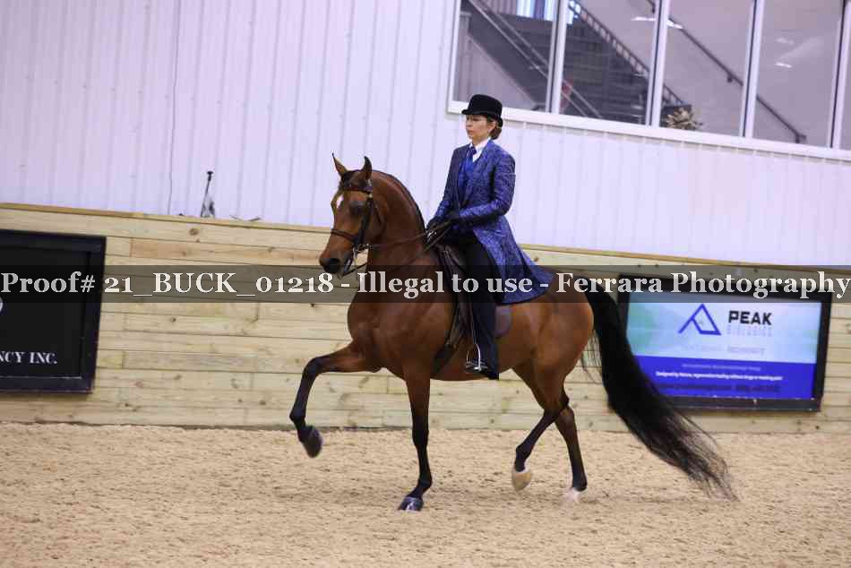 Proof 21_BUCK_01218
