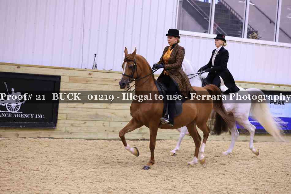 Proof 21_BUCK_01219
