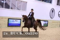 21_BUCK_01220 proof