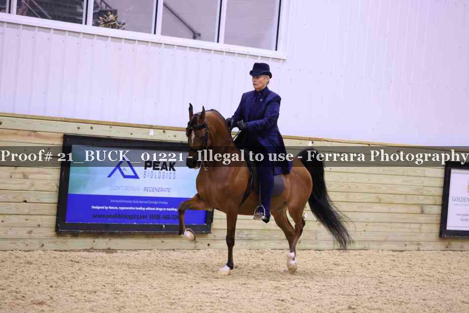 Proof 21_BUCK_01221