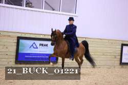 21_BUCK_01221 proof