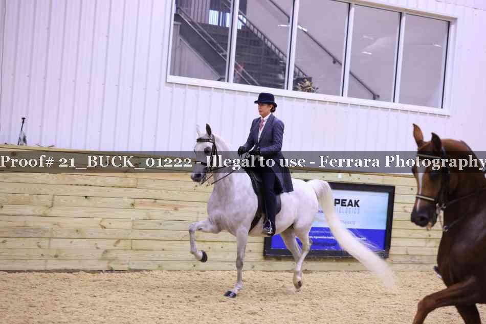 Proof 21_BUCK_01222