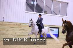 21_BUCK_01222 proof