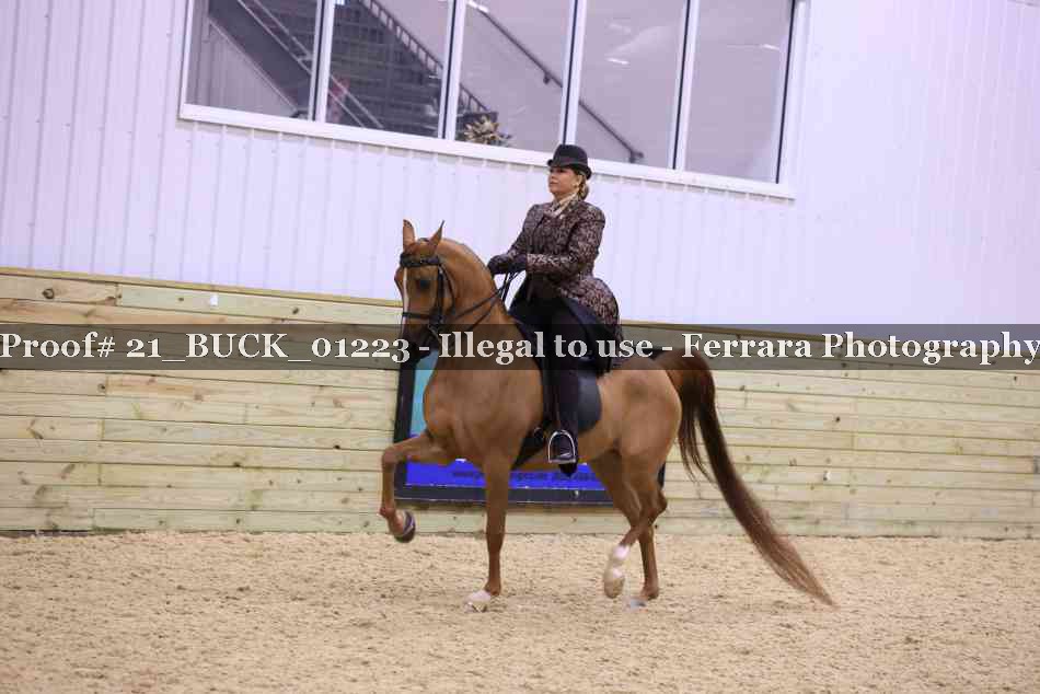 Proof 21_BUCK_01223