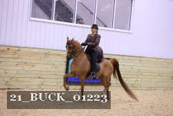 21_BUCK_01223 proof