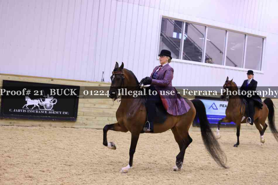 Proof 21_BUCK_01224
