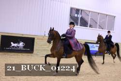 21_BUCK_01224 proof