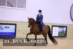 21_BUCK_01226 proof