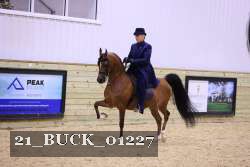 21_BUCK_01227 proof