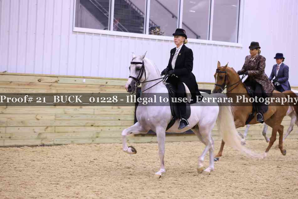 Proof 21_BUCK_01228