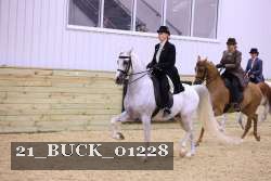 21_BUCK_01228 proof