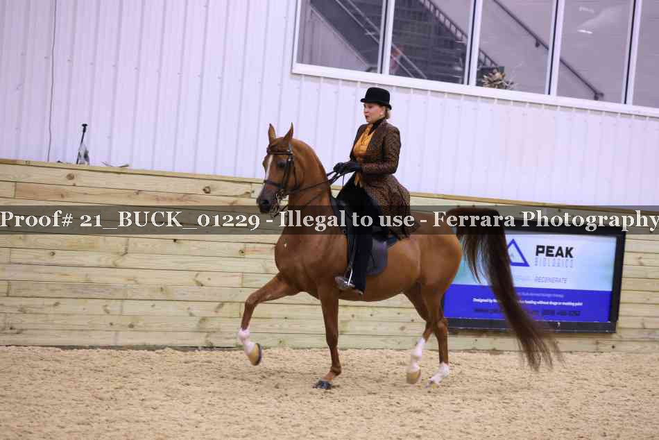 Proof 21_BUCK_01229