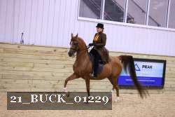 21_BUCK_01229 proof