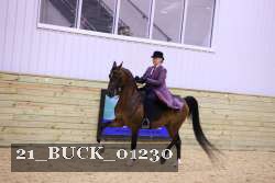 21_BUCK_01230 proof