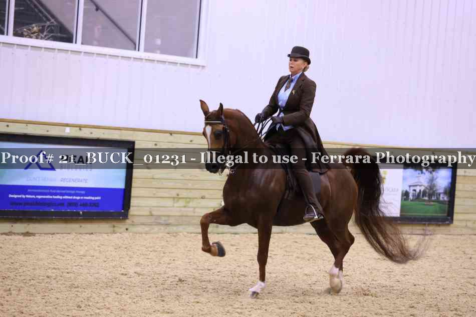 Proof 21_BUCK_01231