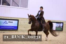 21_BUCK_01231 proof